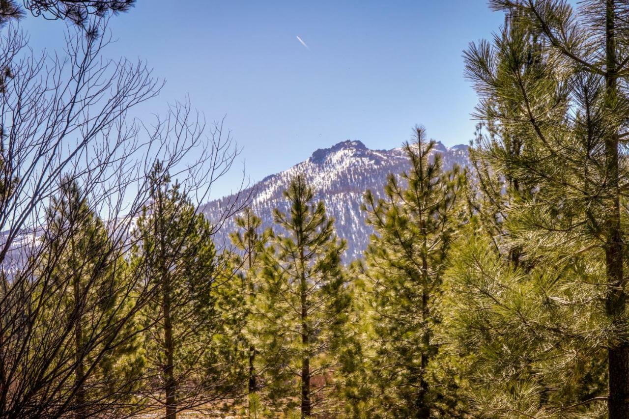 Cozy Seclusion Βίλα South Lake Tahoe Εξωτερικό φωτογραφία